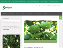 Tablet Screenshot of bostantarim.com